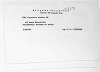 Image Associated With the Occurence